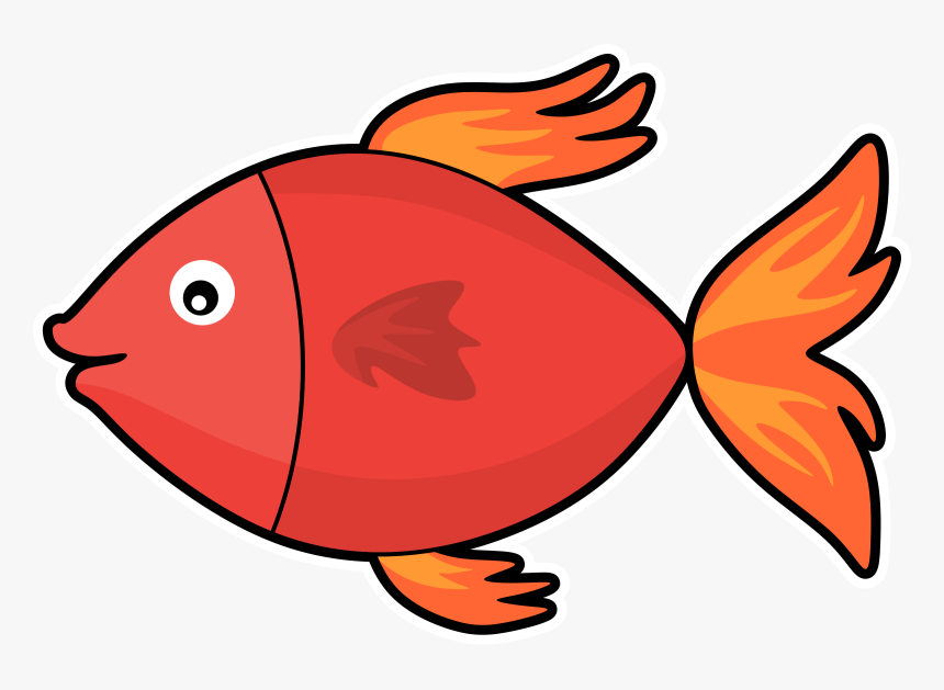 Detail Transparent Fish Image Nomer 12