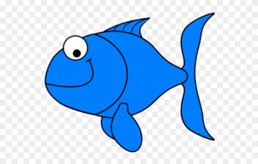 Detail Transparent Fish Image Nomer 18