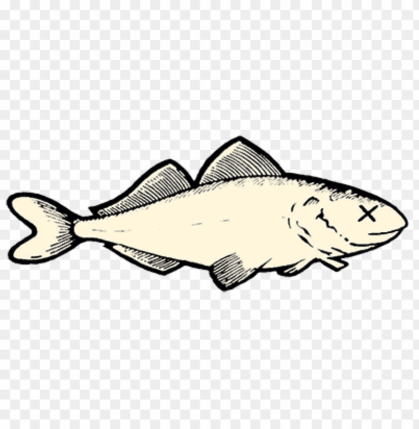Detail Transparent Fish Image Nomer 44