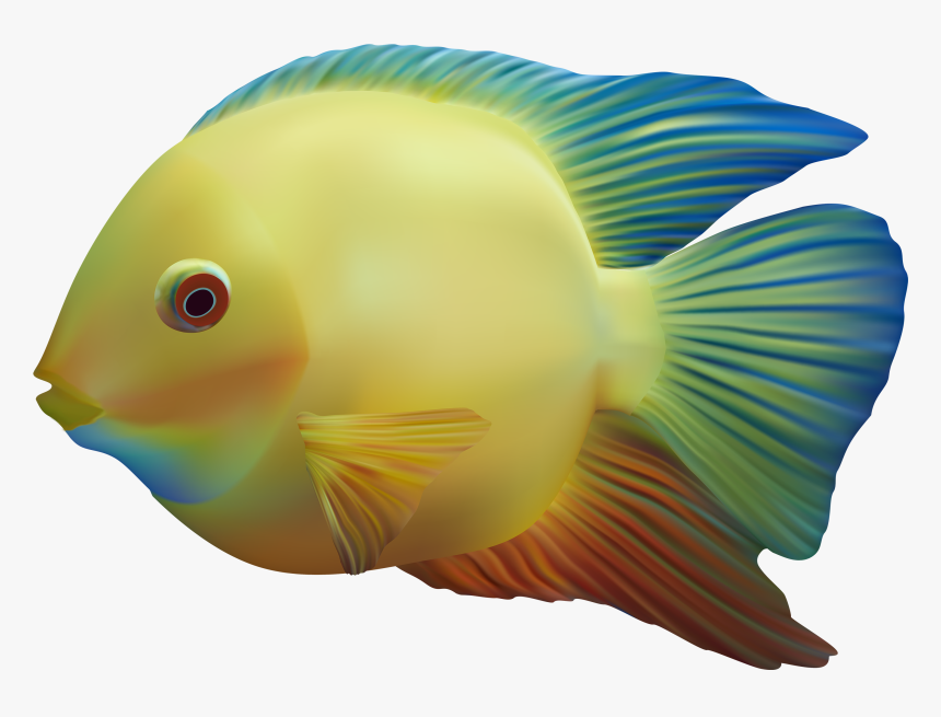 Detail Transparent Fish Png Nomer 6