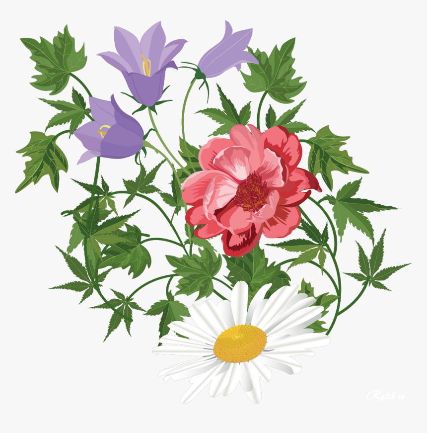 Detail Transparent Floral Clipart Nomer 47