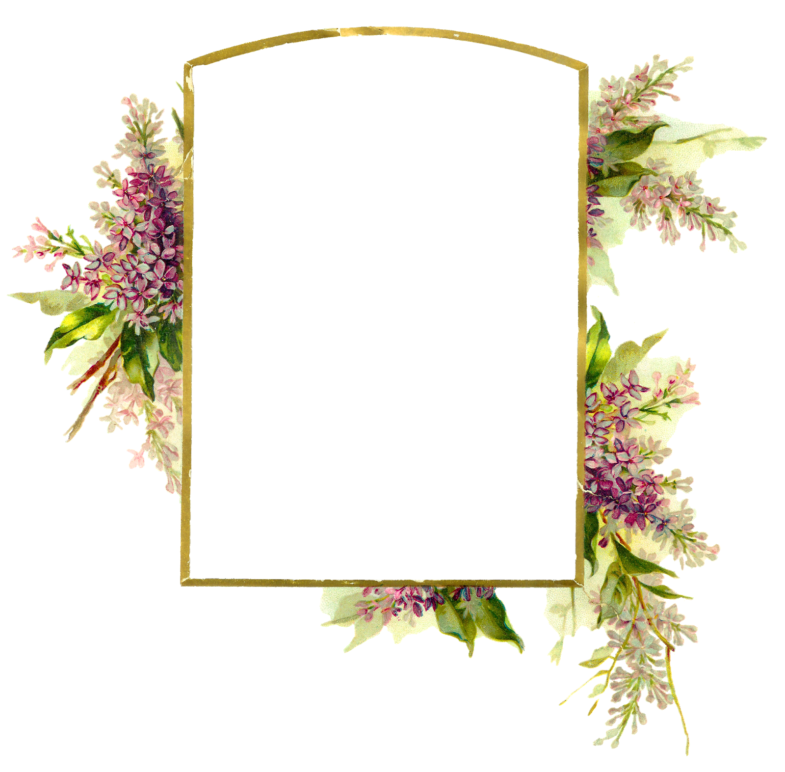 Download Transparent Floral Frame Nomer 20