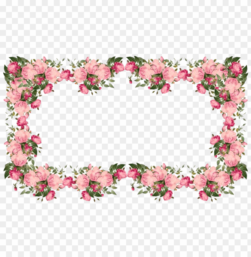 Detail Transparent Flower Border Png Nomer 8