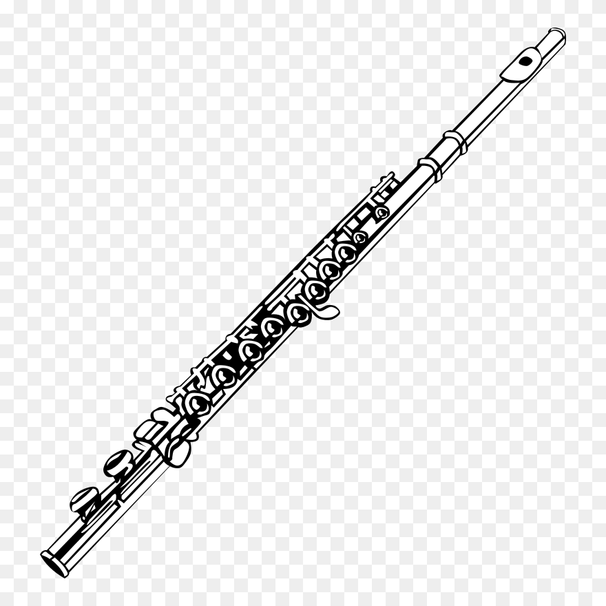 Detail Transparent Flute Nomer 2