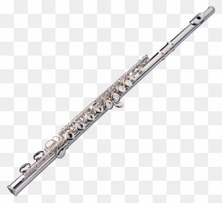 Detail Transparent Flute Nomer 36