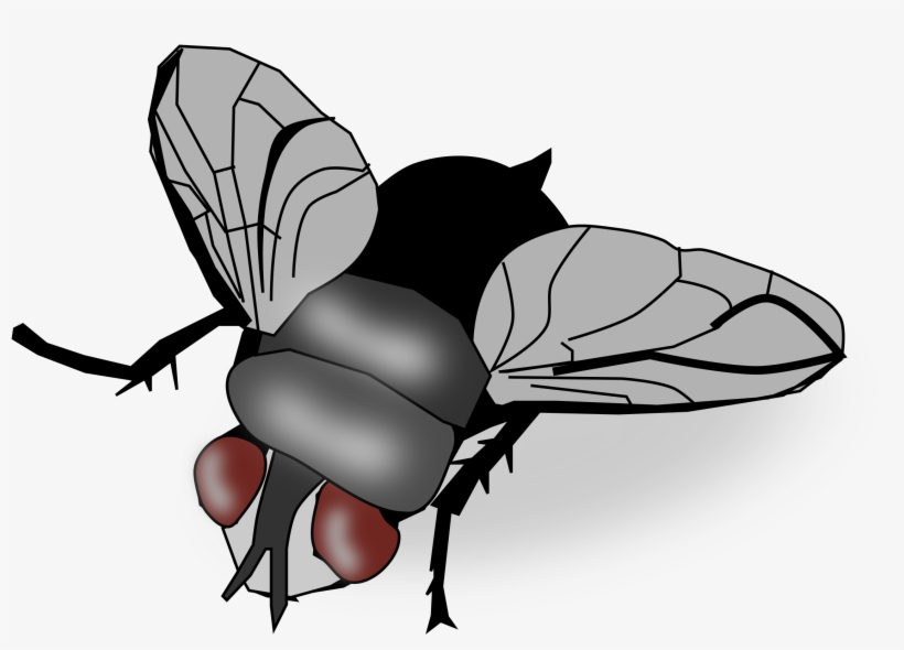 Detail Transparent Fly Nomer 45
