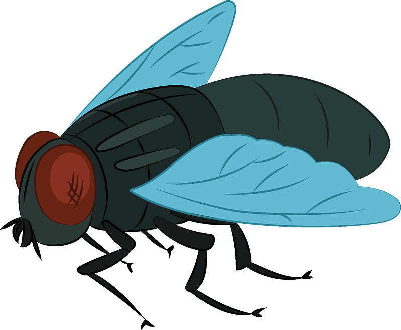 Detail Transparent Fly Nomer 49
