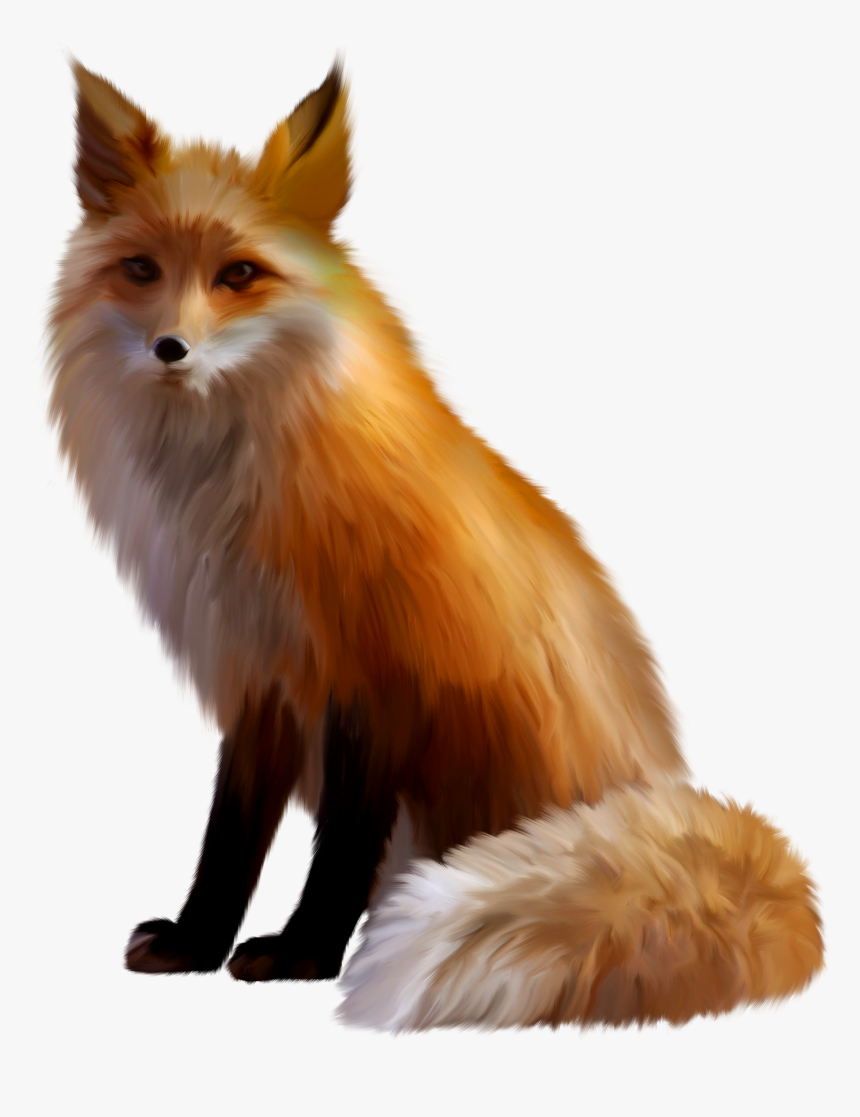 Detail Transparent Fox Nomer 3