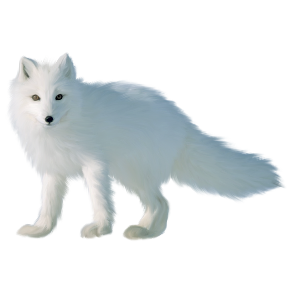 Detail Transparent Fox Nomer 44