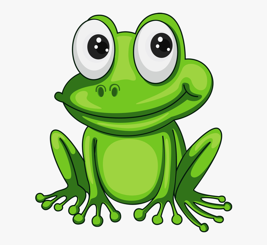 Detail Transparent Frog Image Nomer 19