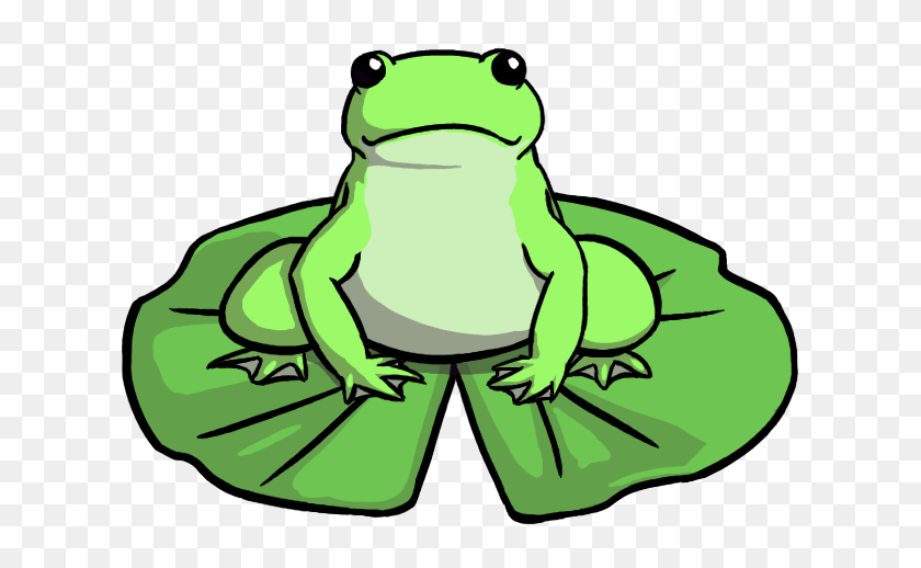 Detail Transparent Frog Image Nomer 42
