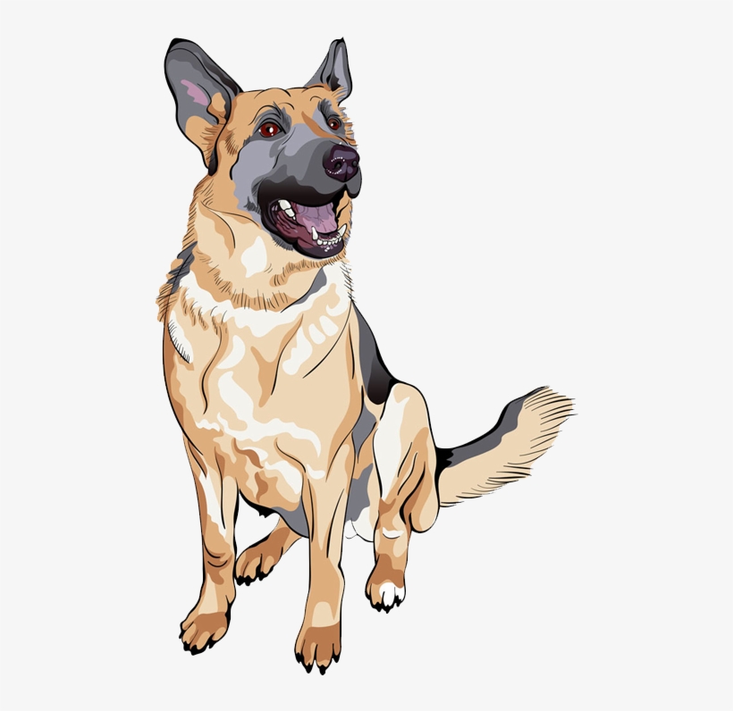 Detail Transparent German Shepherd Nomer 24