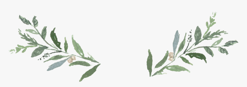 Detail Transparent Greenery Clipart Nomer 2