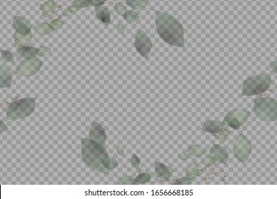 Detail Transparent Greenery Clipart Nomer 24