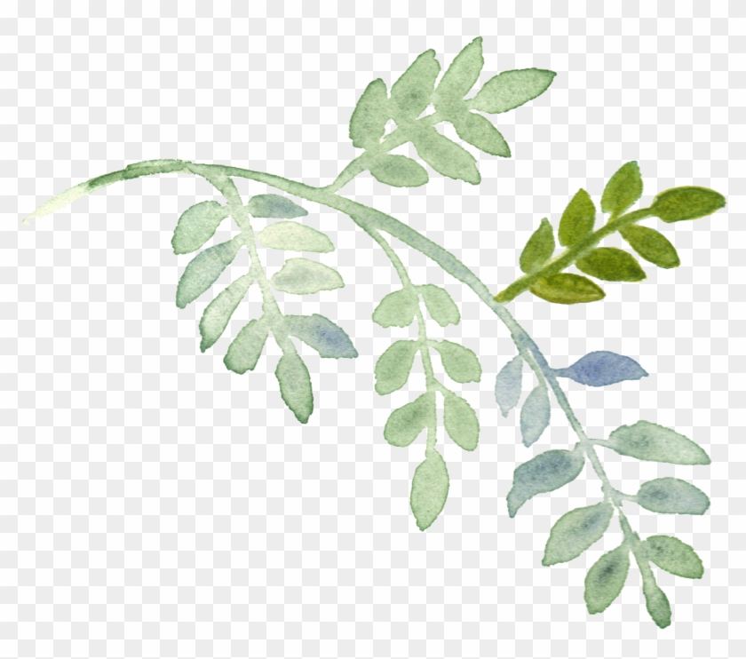 Detail Transparent Greenery Clipart Nomer 33