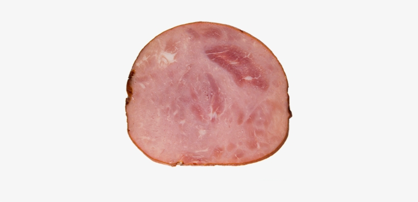 Detail Transparent Ham Nomer 13