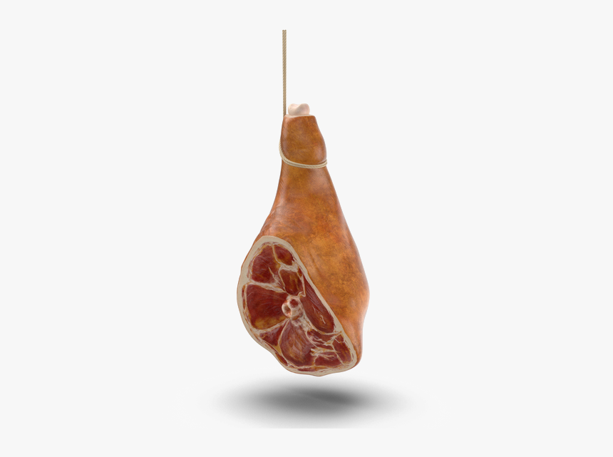 Detail Transparent Ham Nomer 40