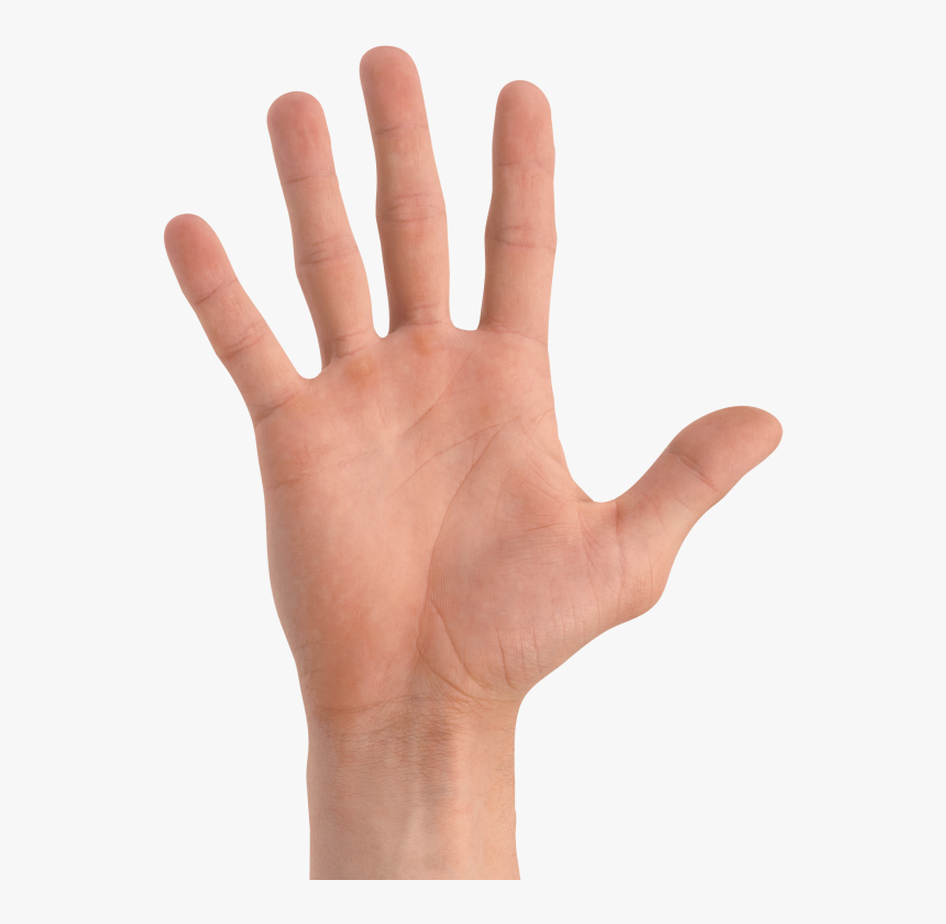 Transparent Hand - KibrisPDR