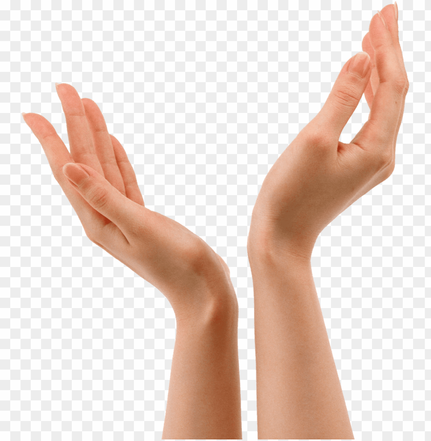 Detail Transparent Hand Png Nomer 10