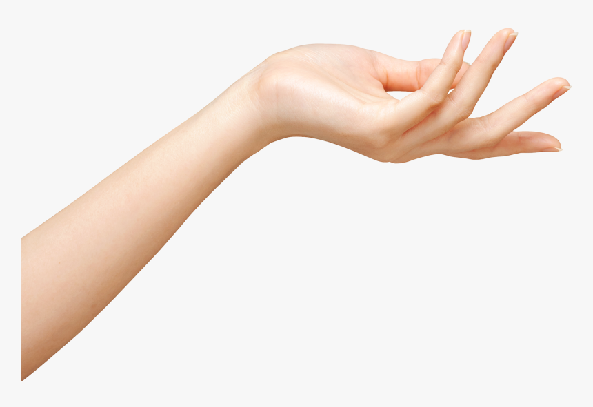 Detail Transparent Hand Png Nomer 13