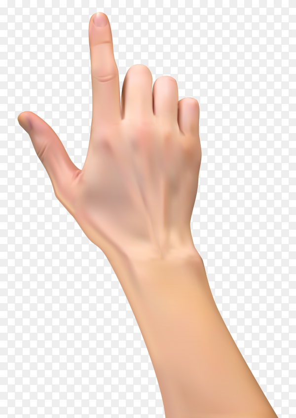 Detail Transparent Hand Png Nomer 15