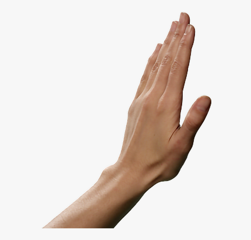 Detail Transparent Hand Png Nomer 18