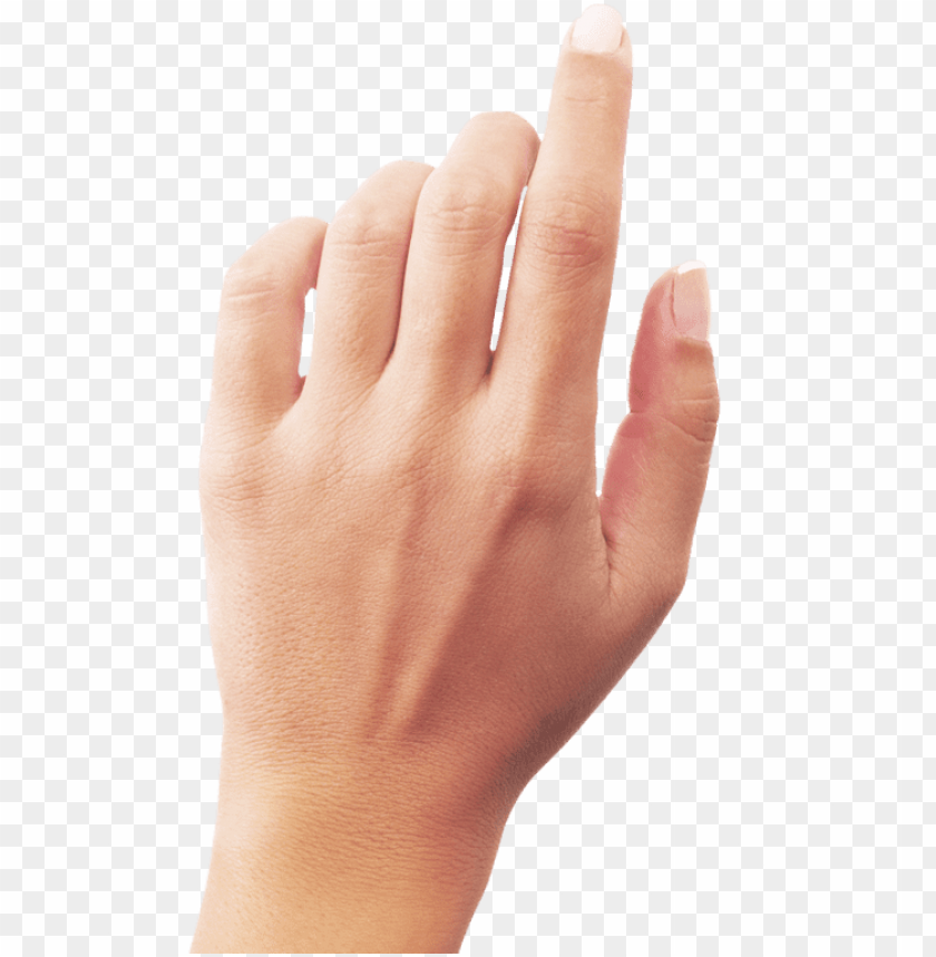 Detail Transparent Hand Png Nomer 23