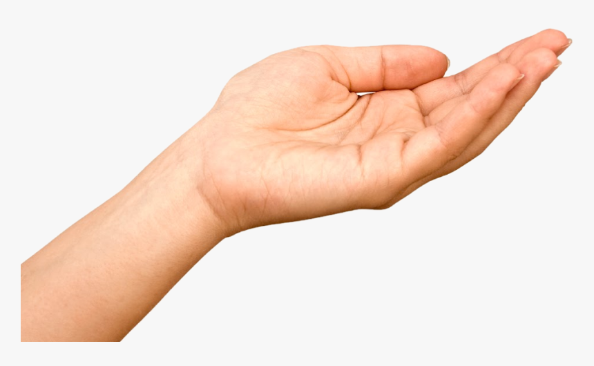 Detail Transparent Hand Png Nomer 4