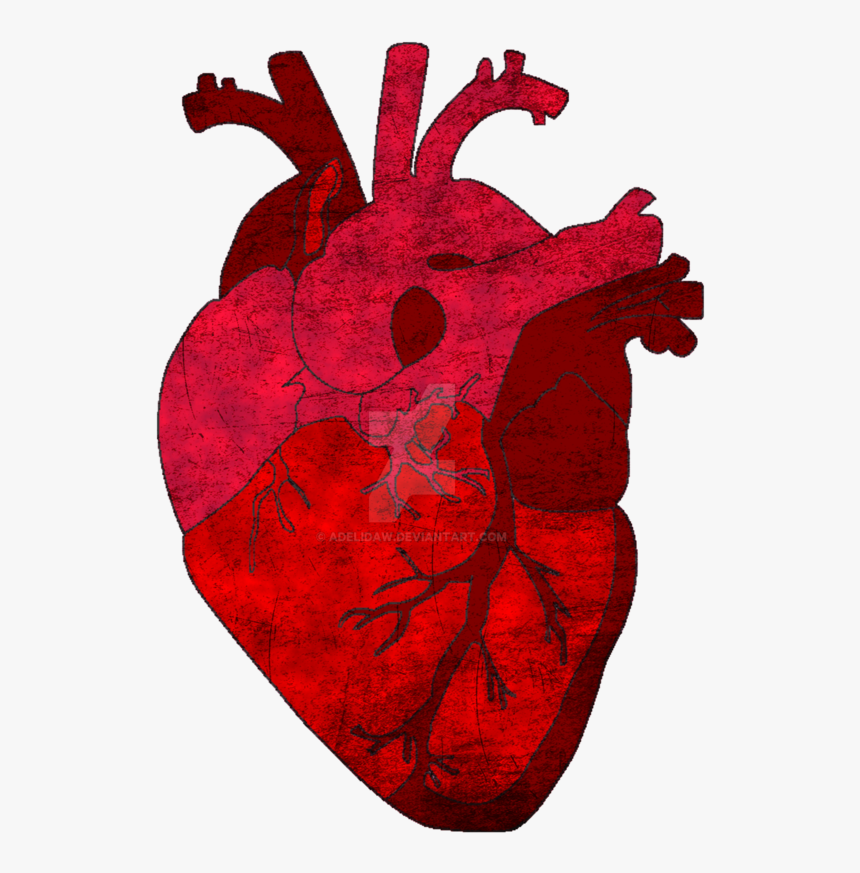 Detail Transparent Heart Png Nomer 27