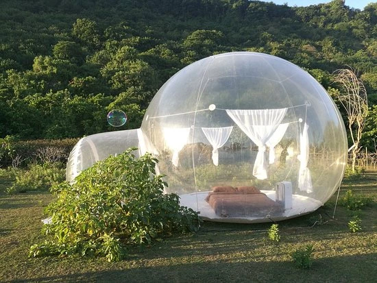 Detail Transparent Igloo Nomer 26