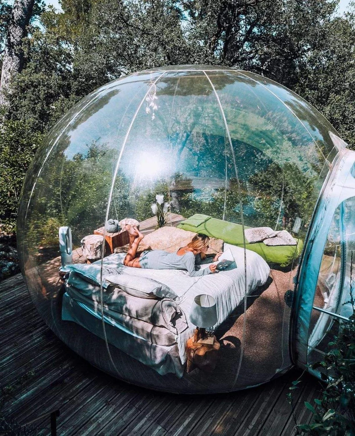 Detail Transparent Igloo Tent Nomer 17