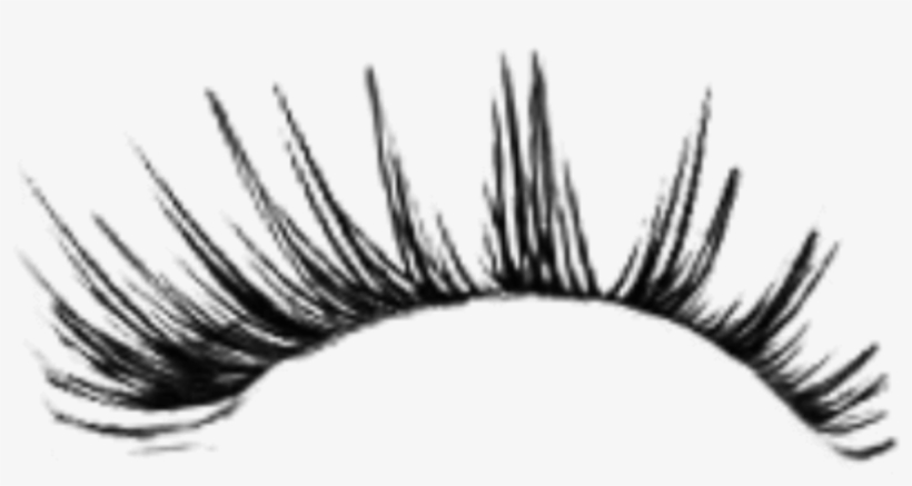 Detail Transparent Lashes Nomer 16