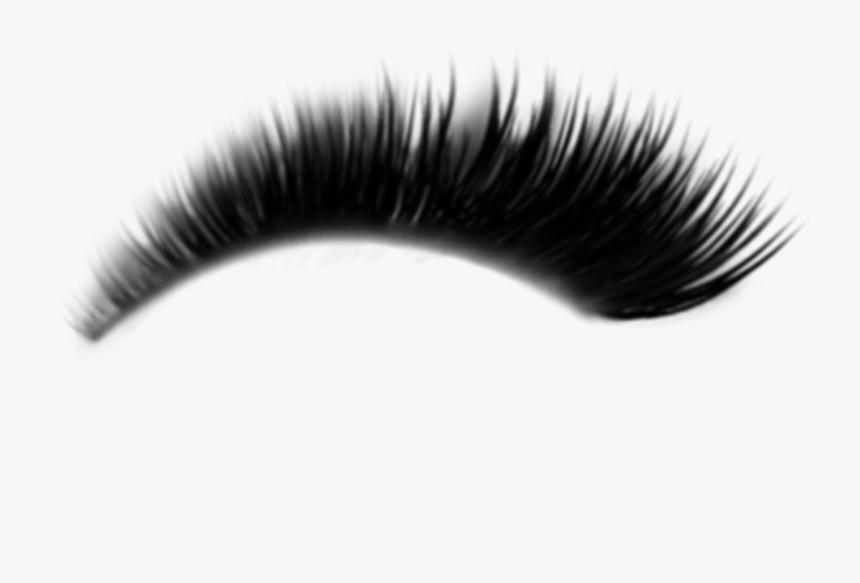 Detail Transparent Lashes Nomer 21