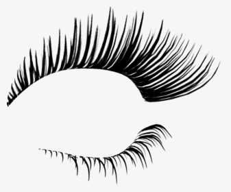Detail Transparent Lashes Nomer 4