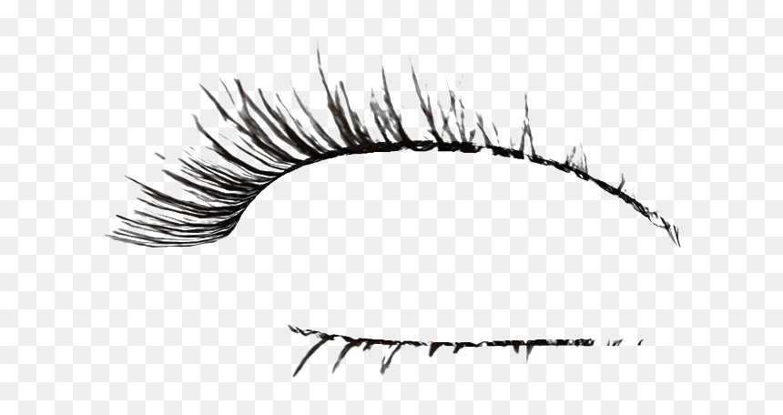 Detail Transparent Lashes Nomer 37
