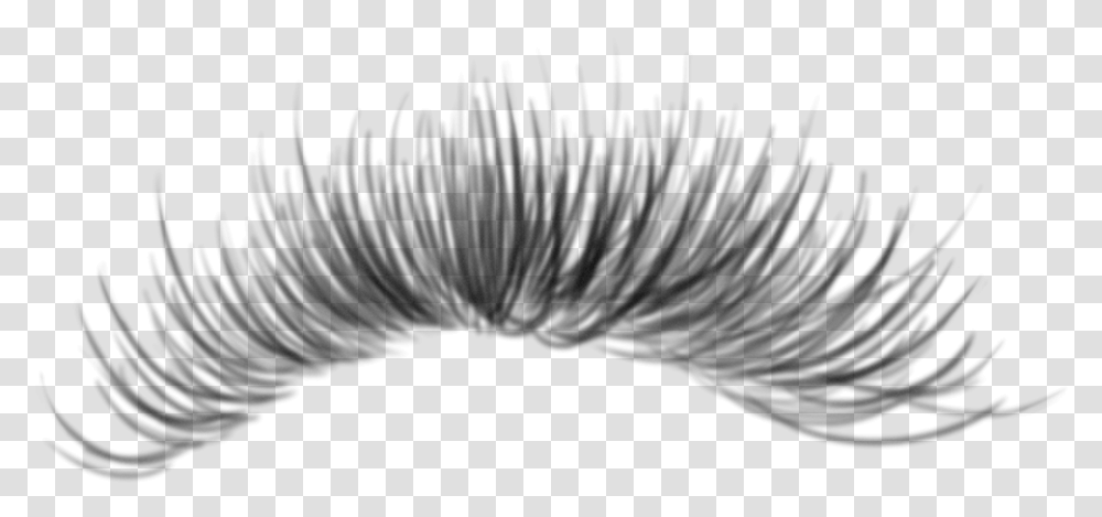 Detail Transparent Lashes Nomer 52