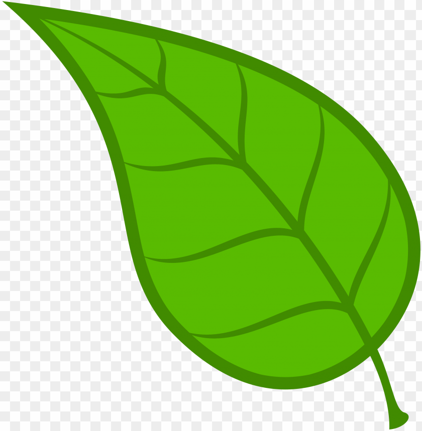 Transparent Leaf Clipart - KibrisPDR