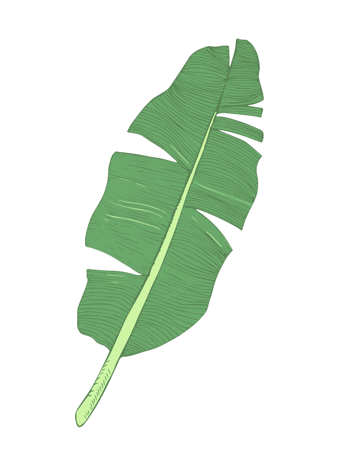 Detail Transparent Leaf Clipart Nomer 28