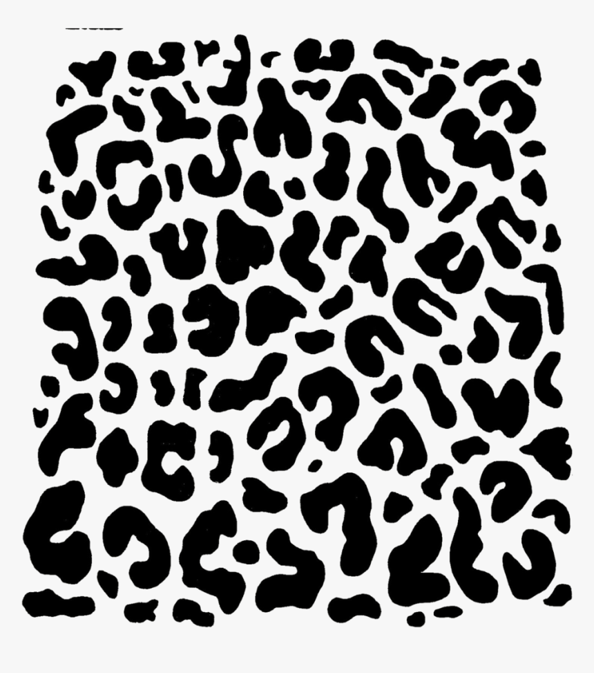 Detail Transparent Leopard Nomer 43