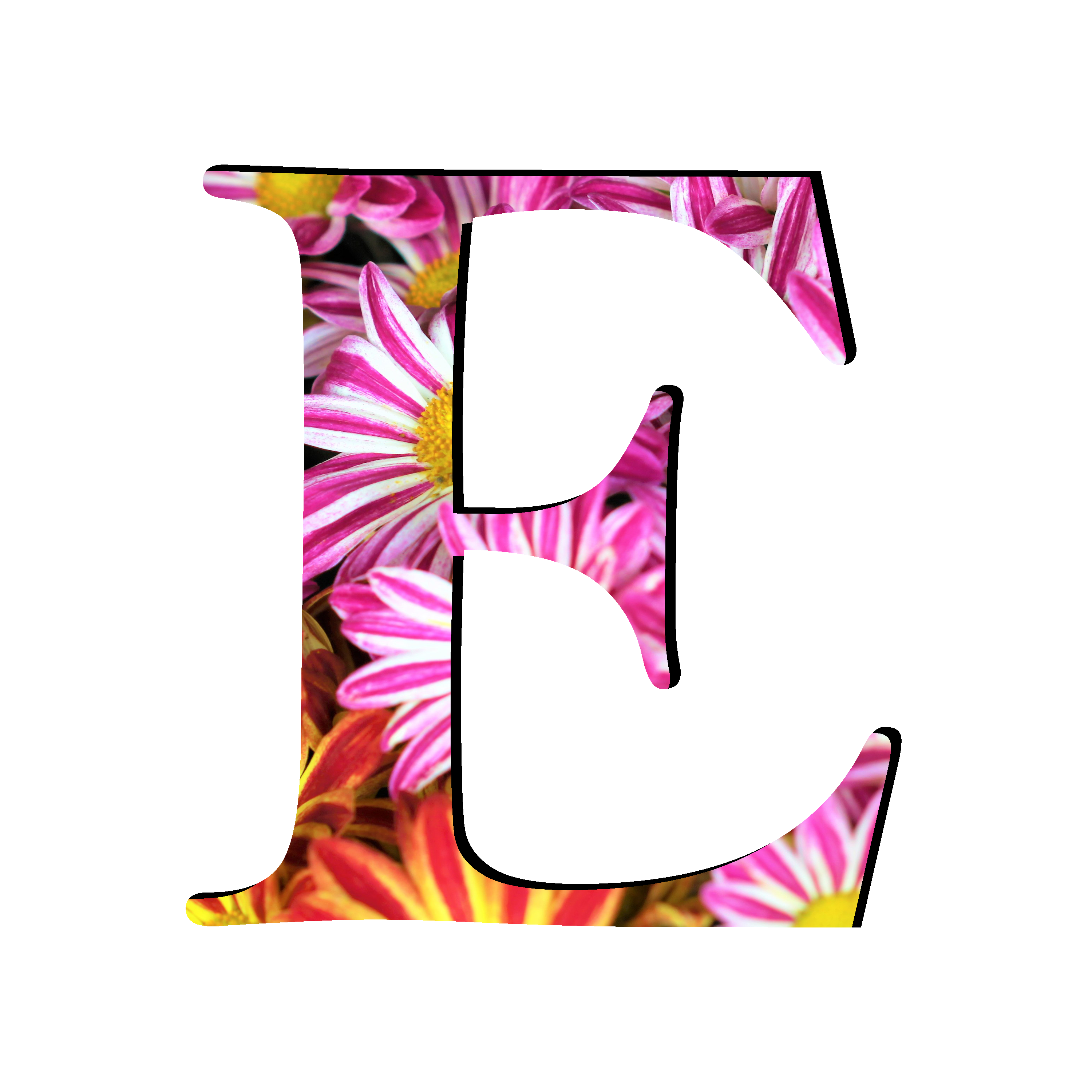 Detail Transparent Letter E Nomer 28