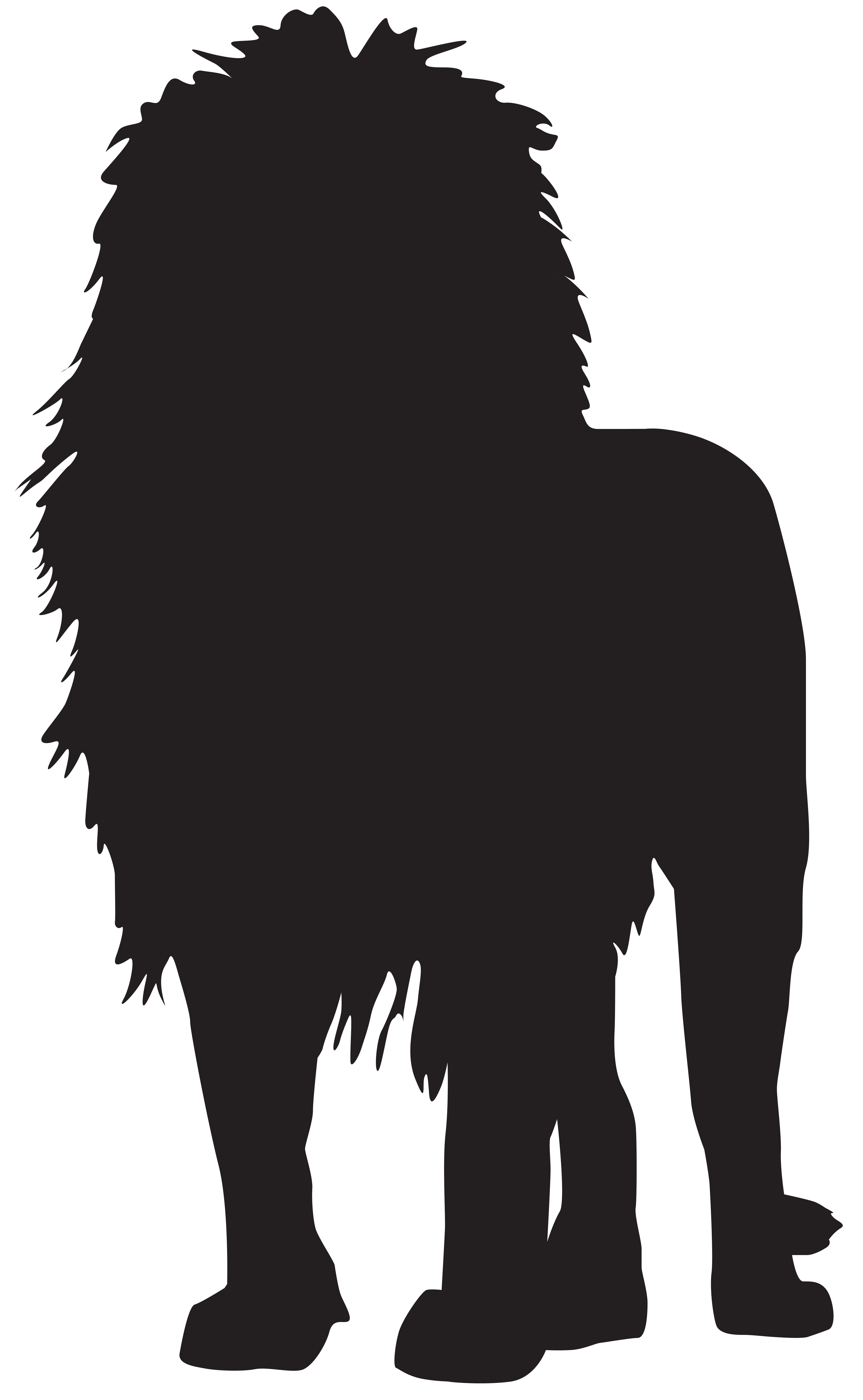 Detail Transparent Lion King Silhouette Nomer 30