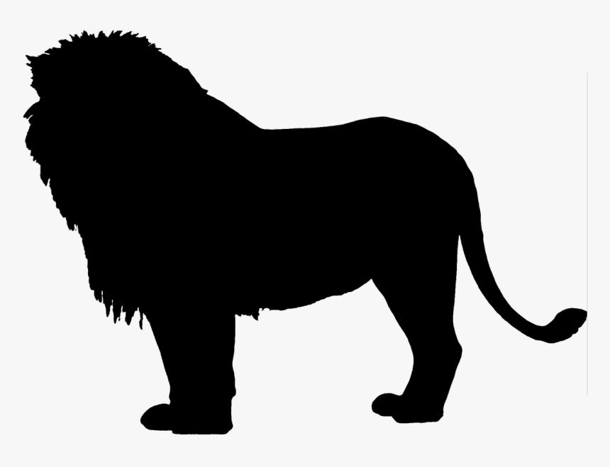 Detail Transparent Lion King Silhouette Nomer 6