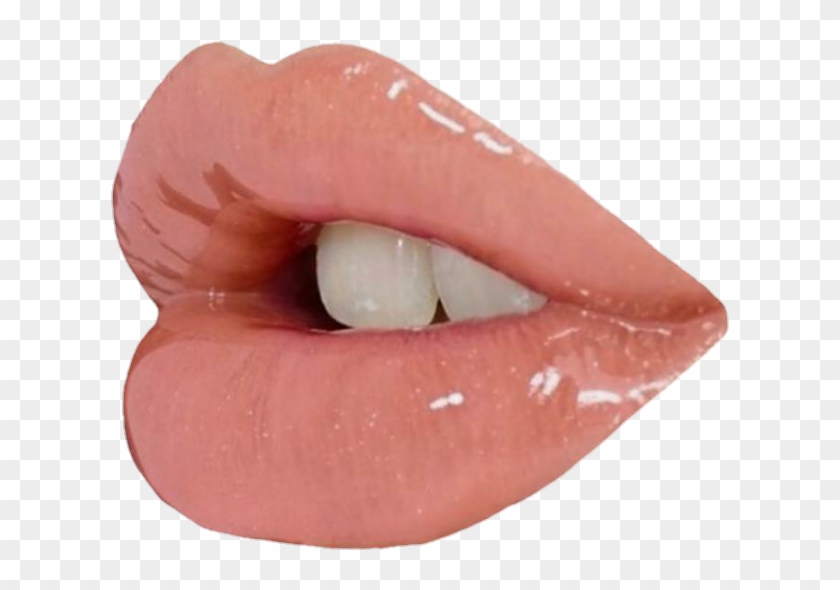Detail Transparent Lips Nomer 9
