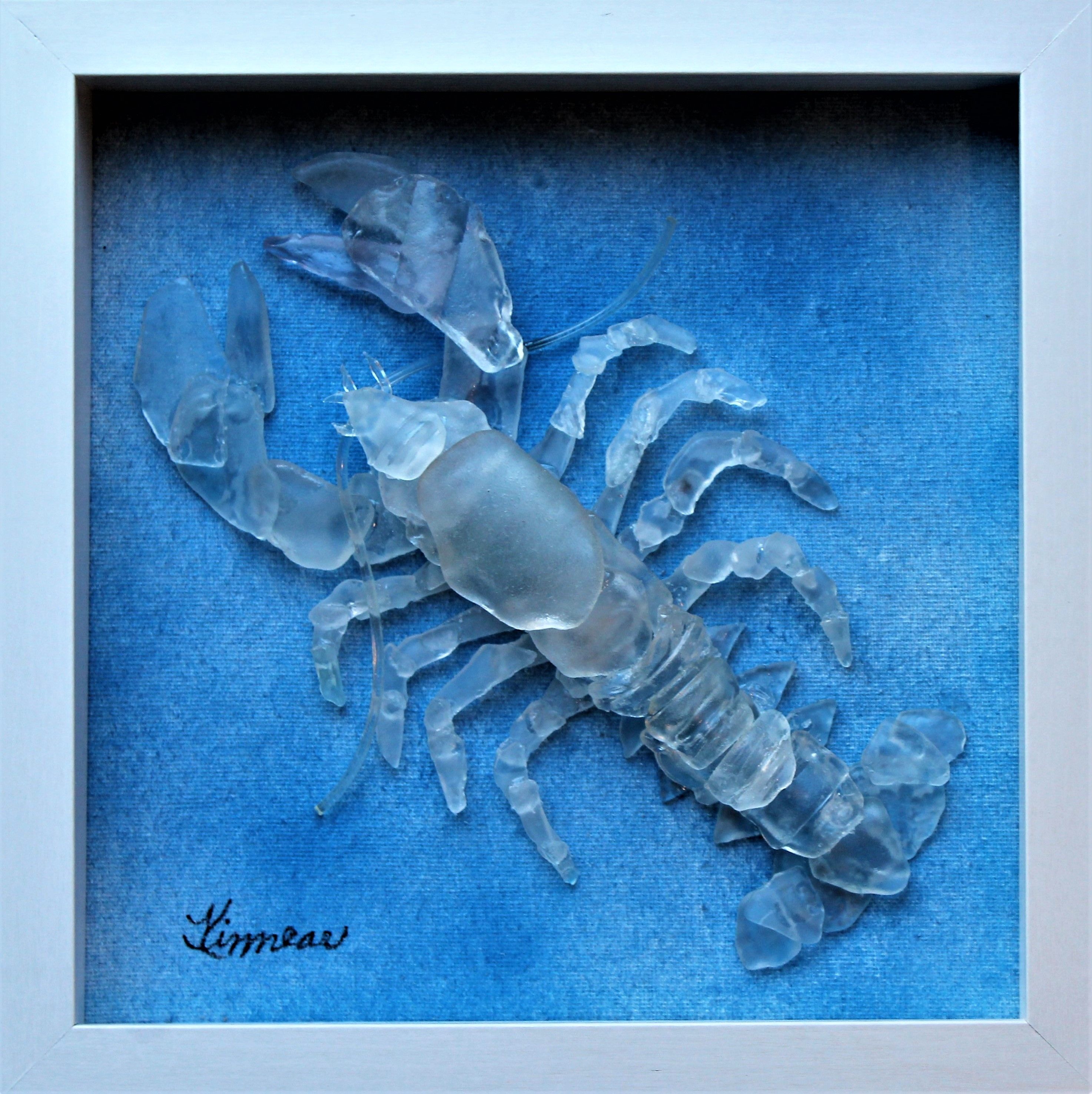 Detail Transparent Lobster Nomer 22