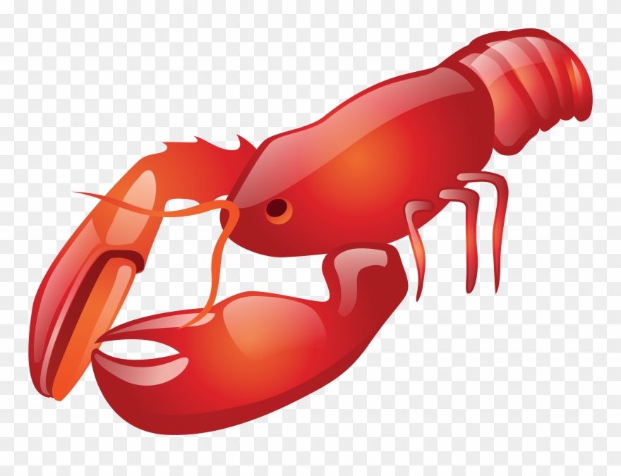 Detail Transparent Lobster Nomer 33