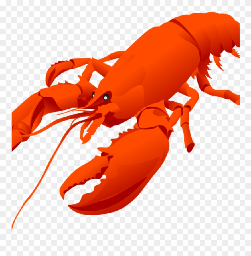Detail Transparent Lobster Nomer 47
