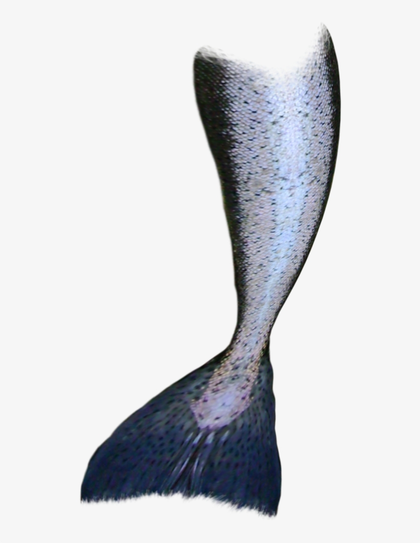Detail Transparent Mermaid Nomer 39