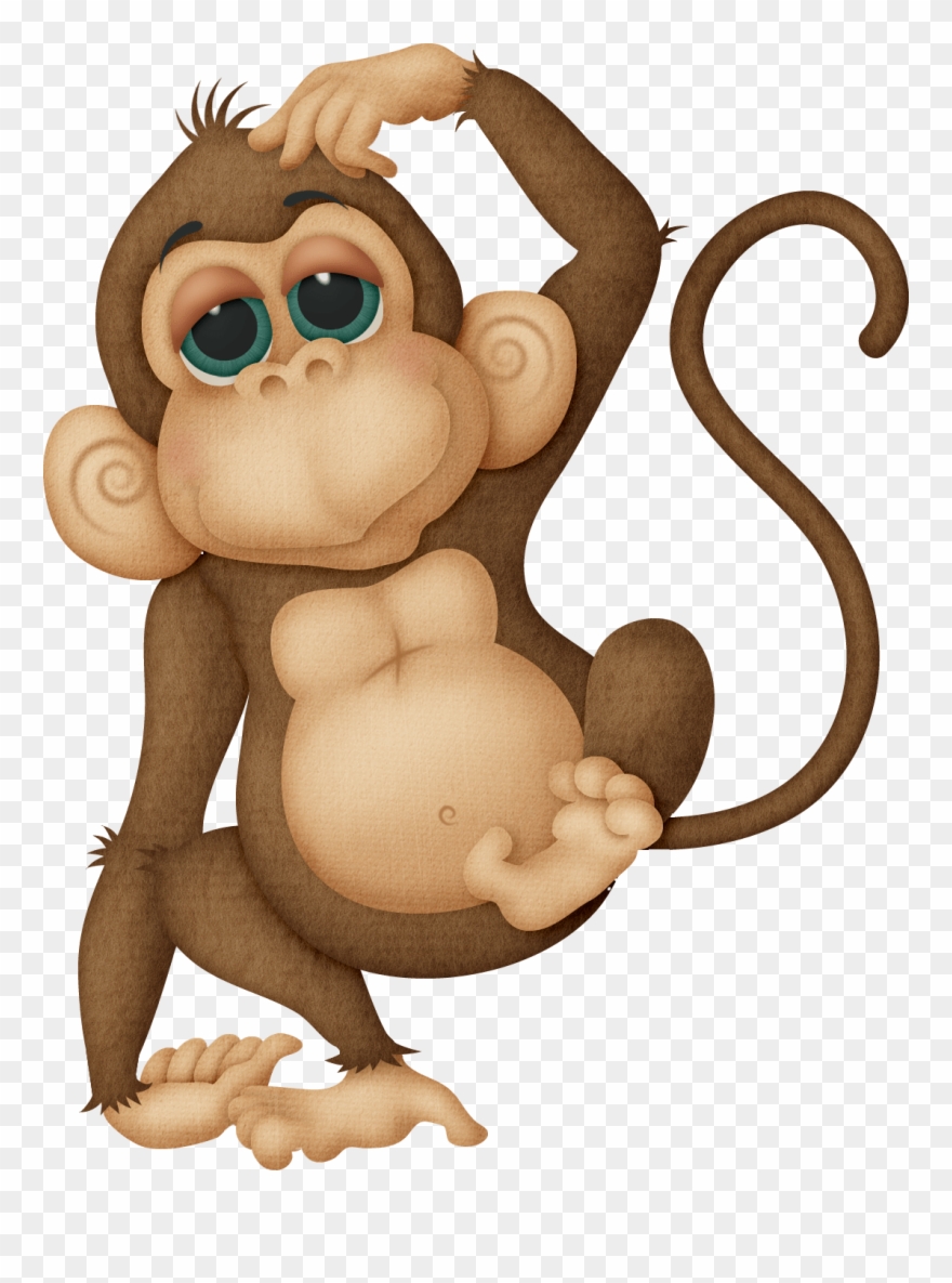 Detail Transparent Monkey Nomer 13