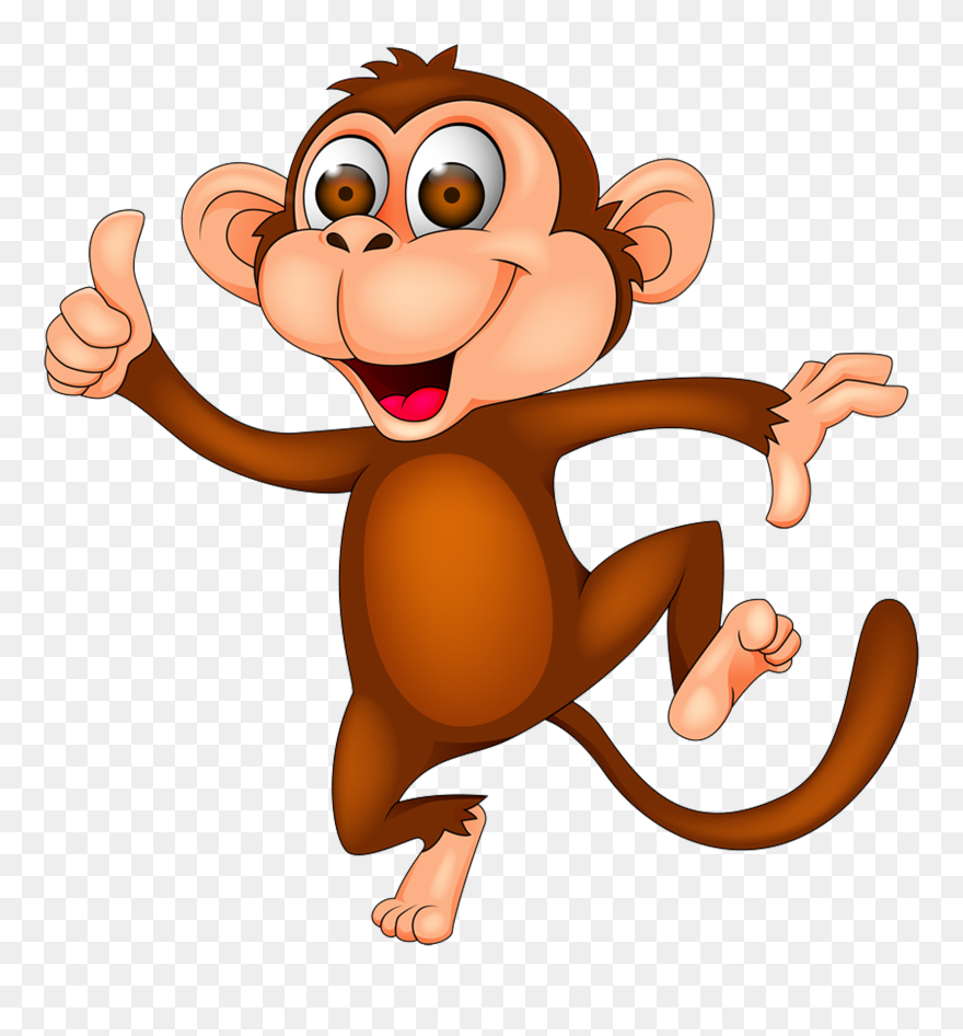 Detail Transparent Monkey Nomer 25