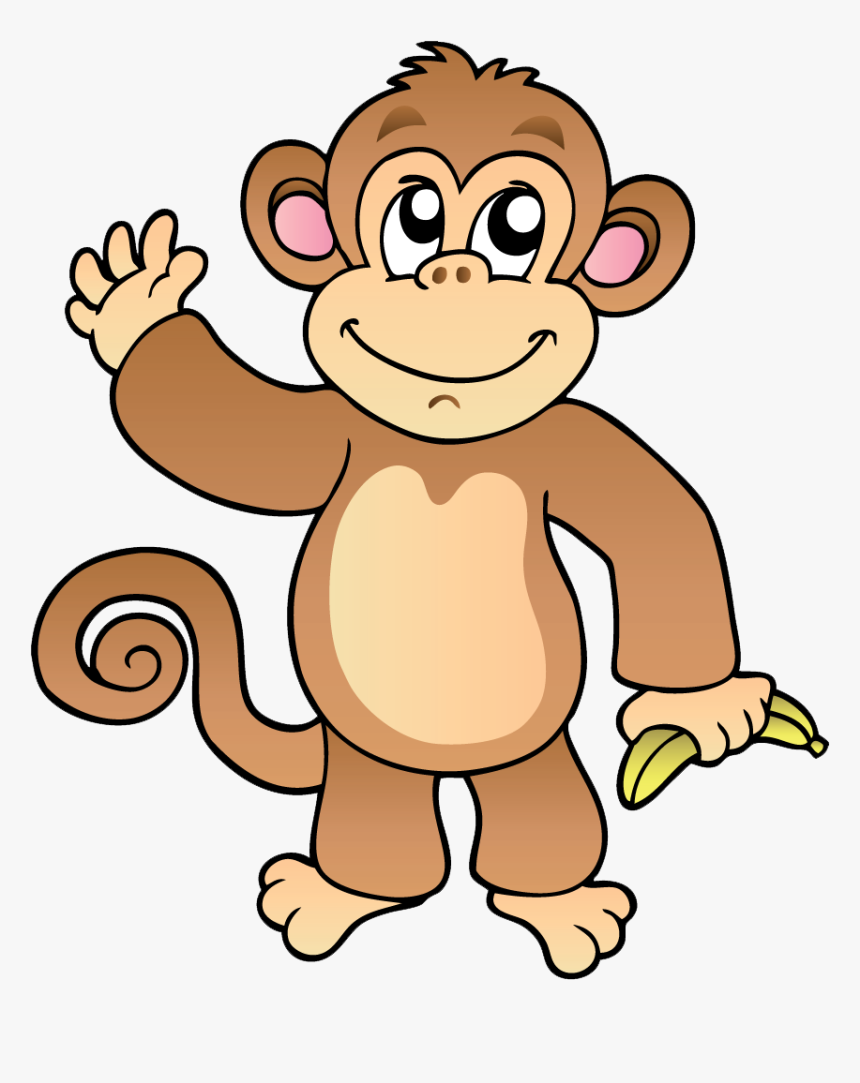 Detail Transparent Monkey Nomer 40